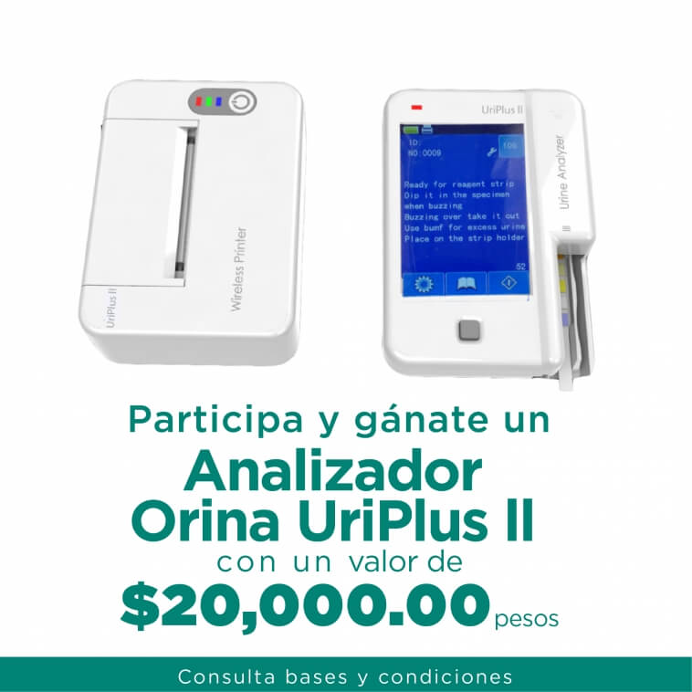 desego concurso-01n